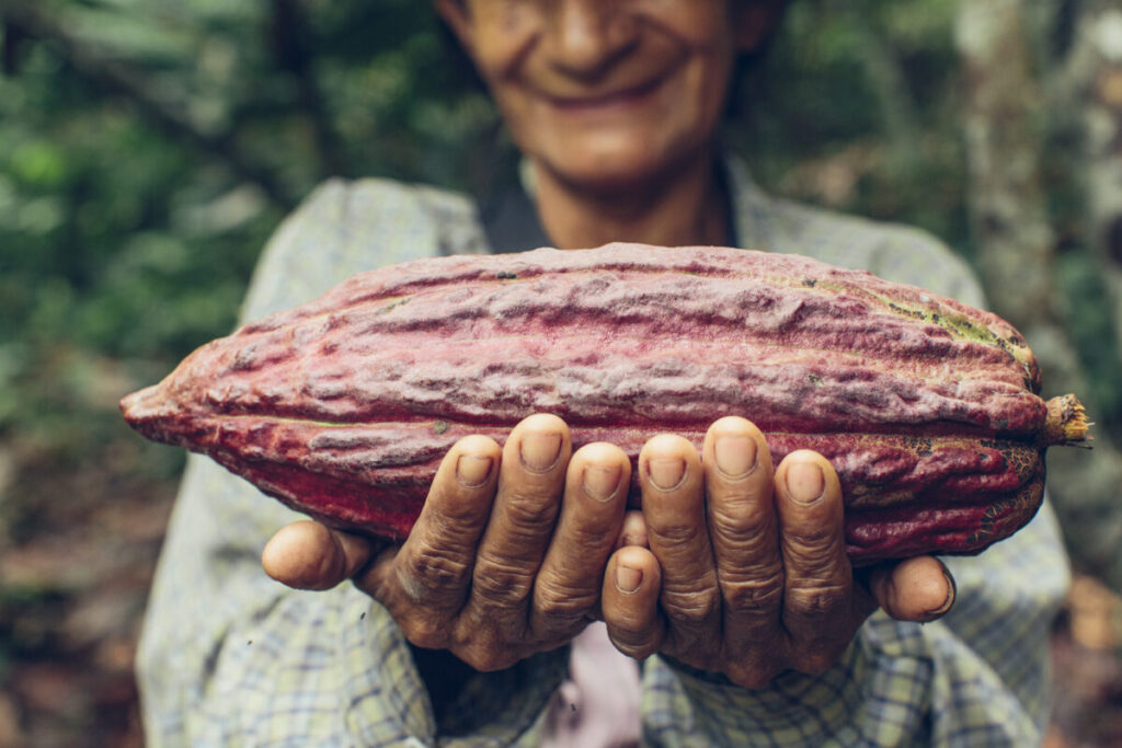 Swiss Scientists Transform Chocolate World: Cocoa Bean Waste Replaces Sugar!