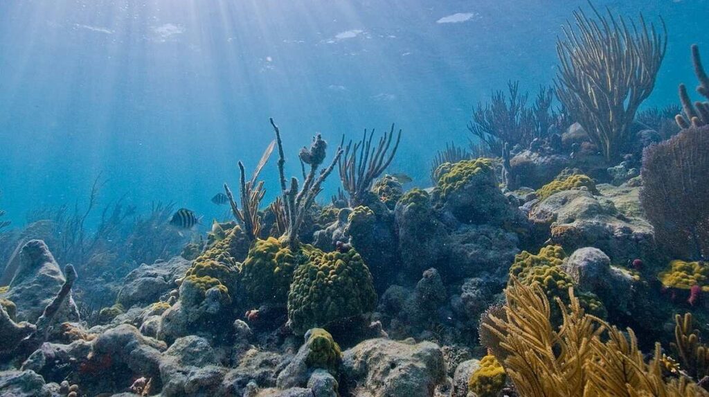 Unprecedented $100 Million Donation Set to Revitalize and Safeguard US National Parks’ Delicate Ecosystems